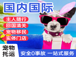 上海空运到北京国际宠物托运 【国